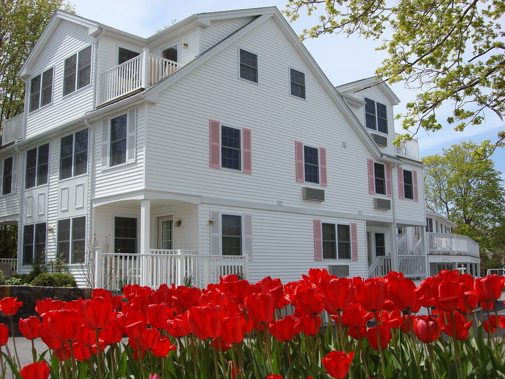 Pink Blossoms Resort أوجونكويت المظهر الخارجي الصورة